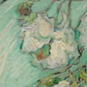 Meet your Posher, Lainey